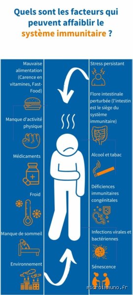 Quelle est la cause d'une infection ? Comprendre enfin l'invasion invisible qui bouleverse notre équilibre biologique