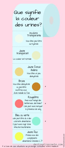 Quelle est la couleur de l'urine quand on a une insuffisance rénale ? Le guide complet pour décrypter vos analyses