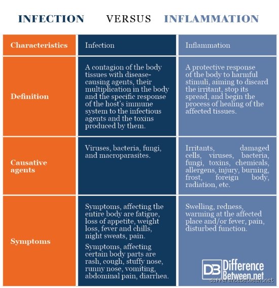 Quelle est la différence entre une infection et une inflammation ?