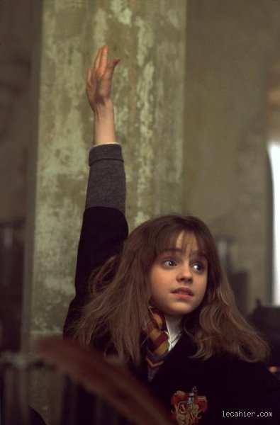 Quelle est la maladie d'Hermione ? Entre réalité clinique et interprétations médicales d'un syndrome méconnu