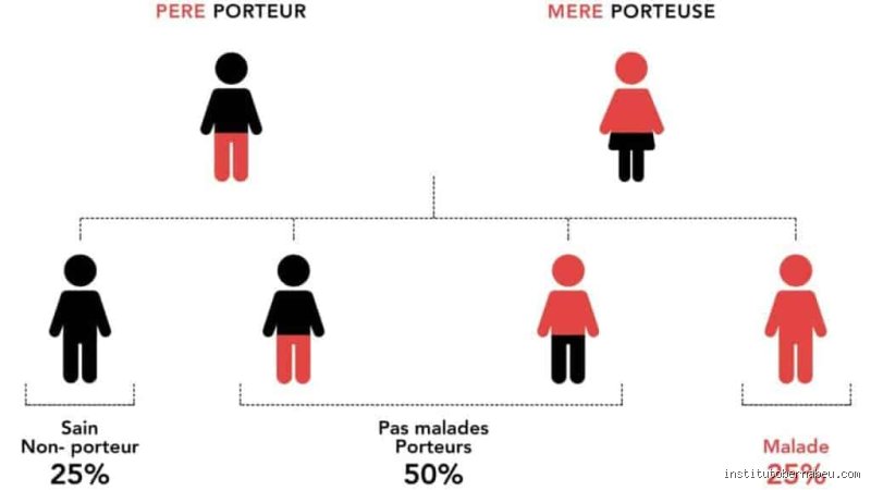 Quelle est la probabilité d'avoir un enfant malade ? Ce que la génétique et les statistiques révèlent aux futurs parents
