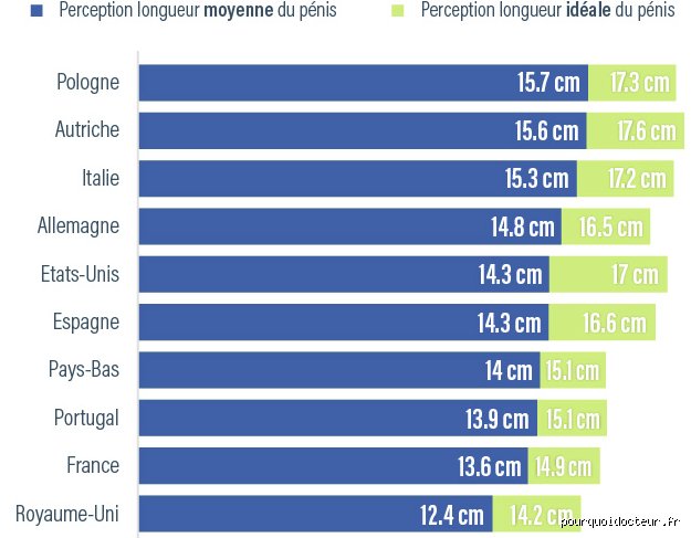 Quelle est la taille normale du pénis chez l'homme ? Le guide sans tabou basé sur la science et les réalités anatomiques