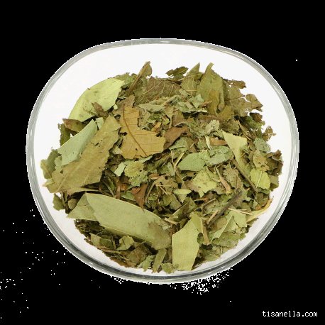 Quelle est la tisane qui fait baisser le diabète ? Le guide complet sur les infusions hypoglycémiantes