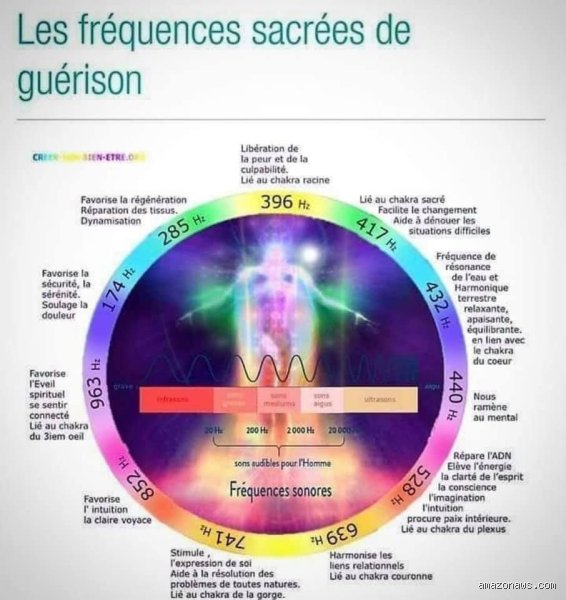 Quelle fréquence (en Hz) est mauvaise pour la santé ? Enquête sur les ondes qui perturbent réellement notre biologie