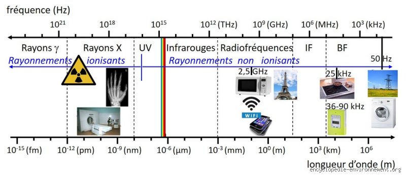 Quelle fréquence est sans danger pour l'homme ? Le guide complet pour comprendre l'impact des ondes sur notre santé au quotidien