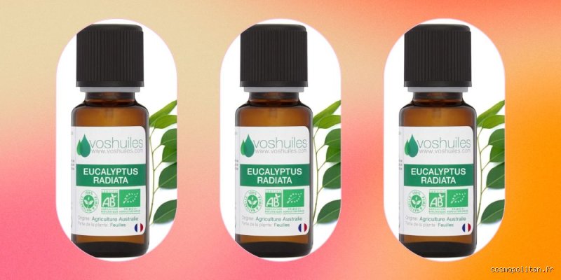Quelle huile essentielle est efficace contre le nez bouché et la sinusite ? Nos réponses d'experts pour respirer enfin