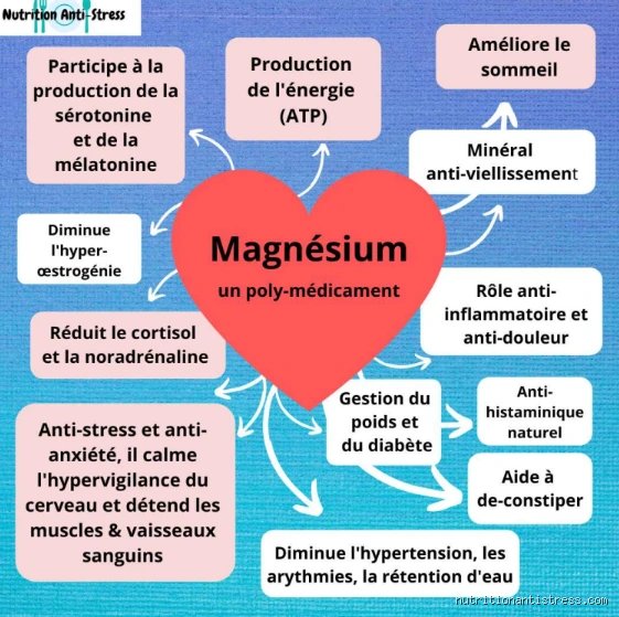 Quelle quantité de magnésium pour l’anxiété : le guide expert pour enfin calmer votre système nerveux sans tâtonner