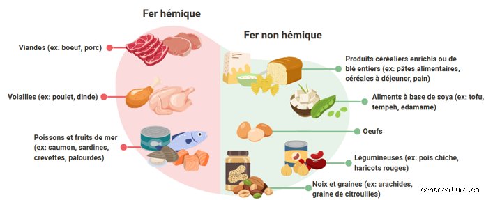 Quelle viande est la meilleure en cas d'anémie ? Le guide complet pour booster votre fer sans faire d'erreur