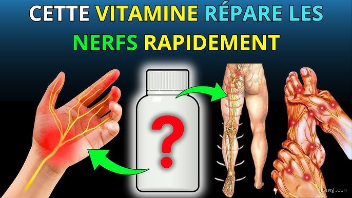 Quelle vitamine répare les nerfs ? Le guide complet pour régénérer son système nerveux naturellement