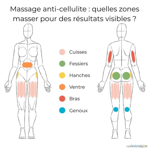 Quelles parties du corps faut-il éviter de masser pour ne pas risquer de blessures irréversibles ?