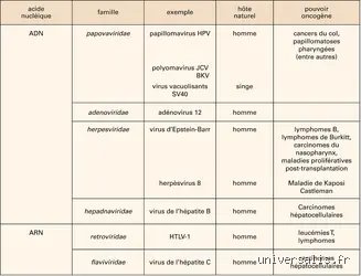 Quelles sont 9 infections cancérigènes ? Le guide complet pour comprendre ce lien biologique souvent ignoré