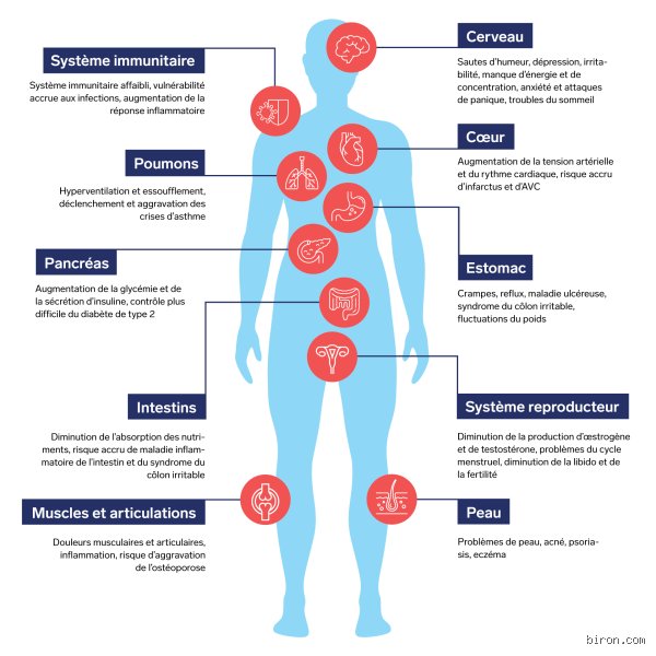 Quelles sont cinq maladies causées par le stress ? Comprendre l'impact réel du cortisol sur notre organisme