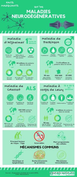 Quelles sont les 3 principales maladies neurodégénératives qui bousculent notre système de santé et nos certitudes médicales ?