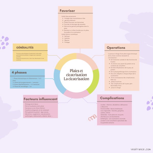 Quelles sont les 4 étapes de la guérison ? Comprendre enfin le mécanisme biologique et psychologique de la réparation