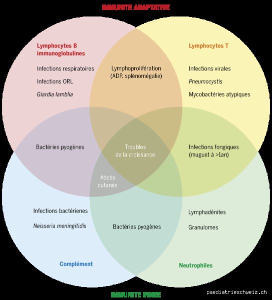 Quelles sont les 4 maladies d'immunodéficience ? Comprendre enfin les failles majeures de notre système de défense biologique