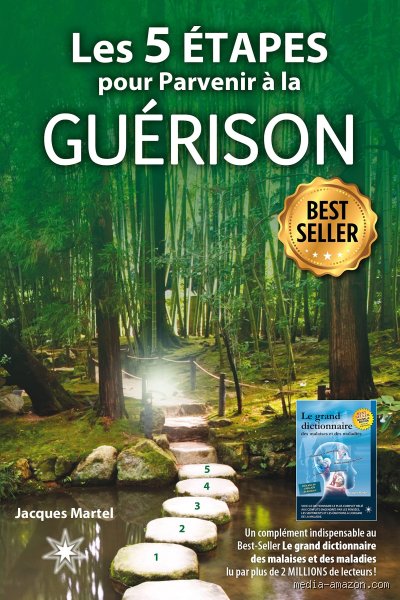 Quelles sont les 5 étapes pour parvenir à la guérison : le guide complet pour transformer sa convalescence en une véritable renaissance physique et mentale