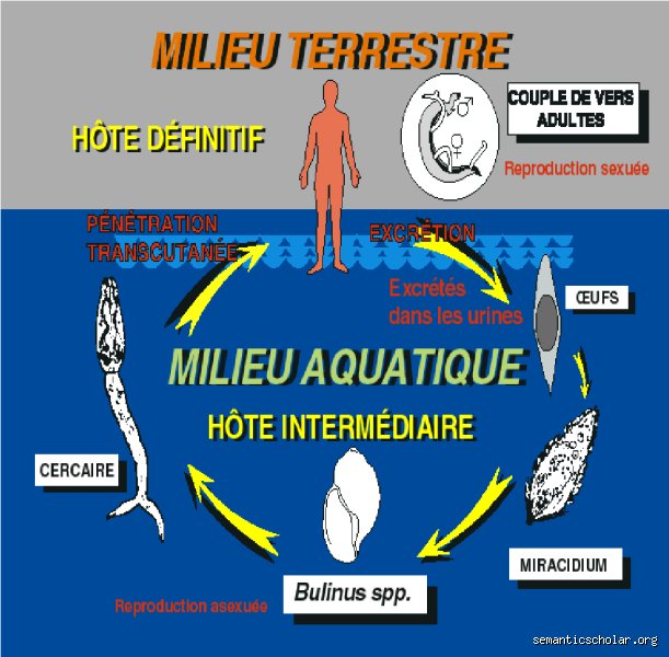 Quelles sont les 5 maladies liées à l'eau qui menacent encore des millions de vies chaque année ?