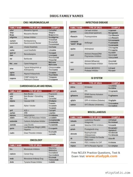 Quelles sont les 8 familles de médicaments ? Le guide exhaustif pour enfin comprendre votre armoire à pharmacie