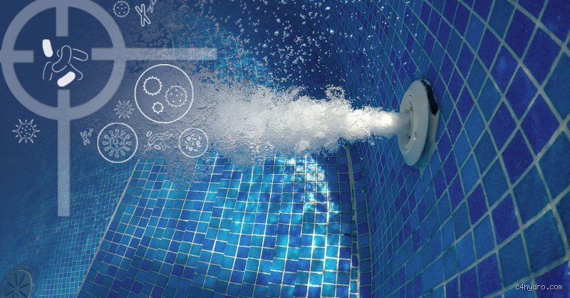 Quelles sont les bactéries les plus courantes dans les piscines : la face cachée de votre moment de détente estivale