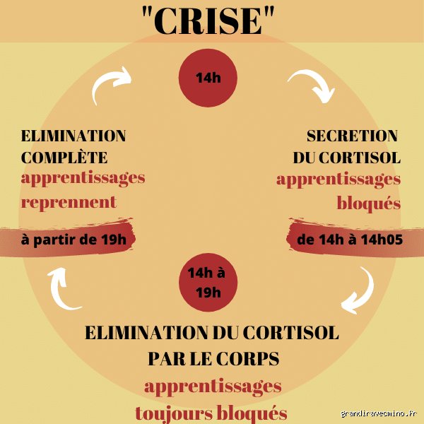 Quelles sont les causes des taux élevés de cortisol chez les enfants : comprendre l’épidémie invisible du stress pédiatrique