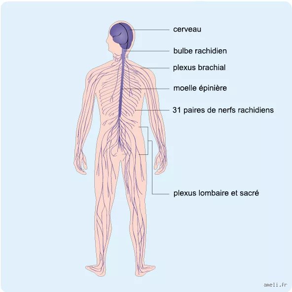Comprendre quelles sont les douleurs causées par le diabète : un panorama complet des symptômes invisibles mais dévastateurs