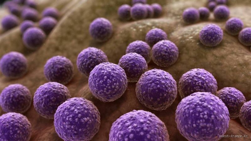 Quelles sont les infections bactériennes les plus dangereuses et pourquoi nous perdons la guerre contre l'invisible ?