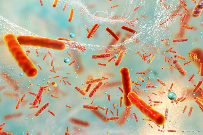 Quelles sont les infections bactériennes les plus meurtrières : le palmarès terrifiant de nos ennemis microscopiques invisibles