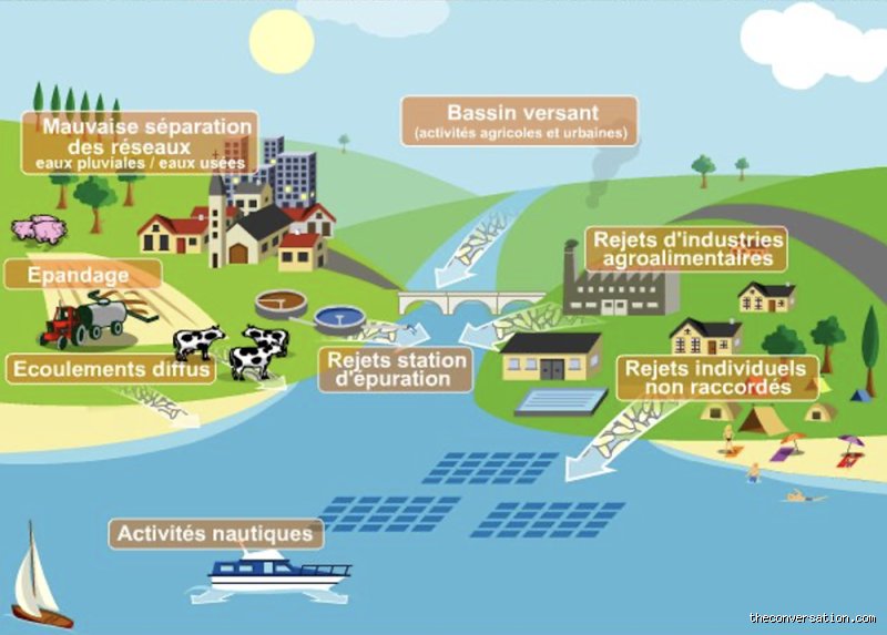 Quelles sont les infections possibles liées à la baignade ? Le guide vérité sur les eaux troubles de nos vacances