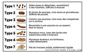 Quelles sont les selles idéales ? Le guide ultime pour enfin comprendre ce que votre transit raconte de votre santé