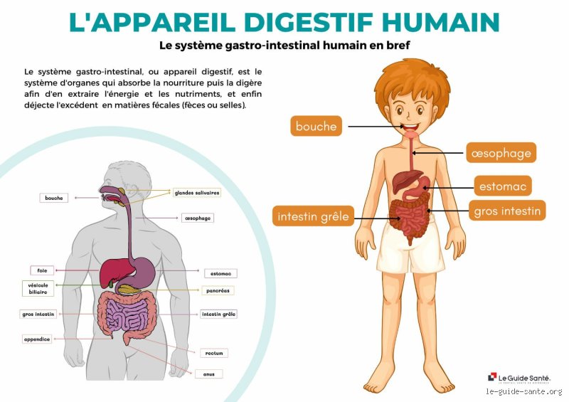 Quelles sont les sensations ressenties en cas d'œsophagite sévère : au-delà de la simple brûlure d'estomac