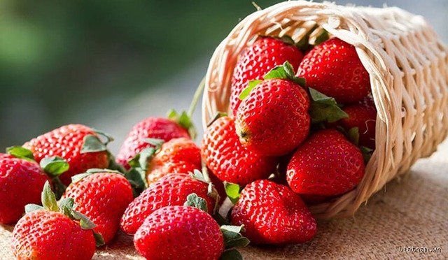 Quels aliments réduisent la toux ? Le guide complet pour apaiser vos bronches naturellement grâce à l'alimentation