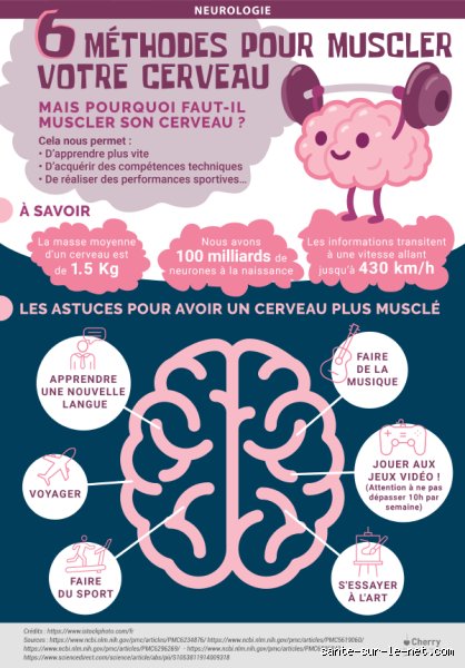Quels exercices améliorent le cerveau ? Le guide complet pour doper vos facultés cognitives par le mouvement