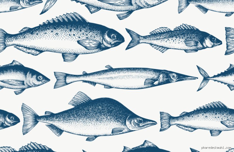 Quels poissons sont bons pour les personnes âgées : le guide complet pour préserver son capital santé après 70 ans