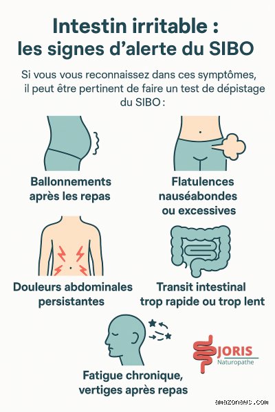 Quels problèmes intestinaux provoquent des vertiges ? Comprendre enfin ce lien invisible entre votre ventre et votre équilibre