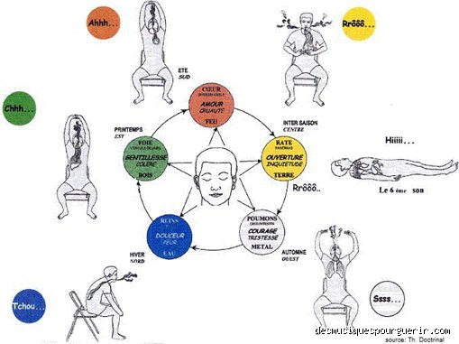 Quels sons guérissent le corps ? La science derrière les fréquences qui réparent nos cellules en profondeur