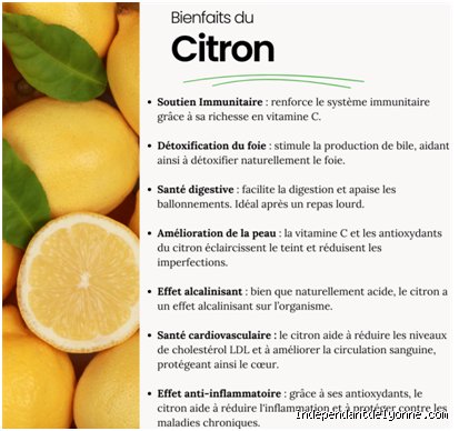 Quels sont les 10 bienfaits du citron pour la santé ? Les secrets d’un agrume que vous pensiez déjà connaître par cœur