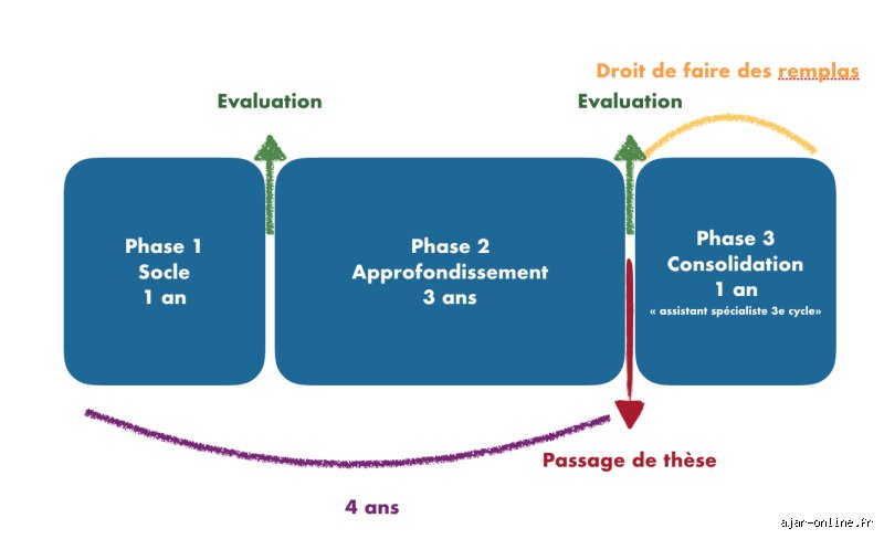 Quels sont les 3 C en médecine ? Comprendre cette règle d’or qui sauve des vies aux urgences