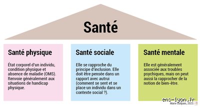 Quels sont les 3 piliers de la santé ? Le guide pour enfin comprendre l'équilibre entre corps, assiette et esprit