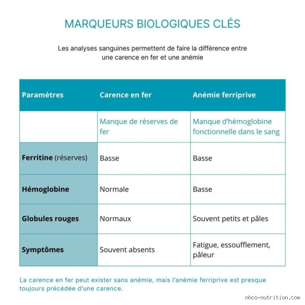 Quels sont les 4 types d'anémie ? Comprendre enfin ces carences qui vident votre énergie au quotidien