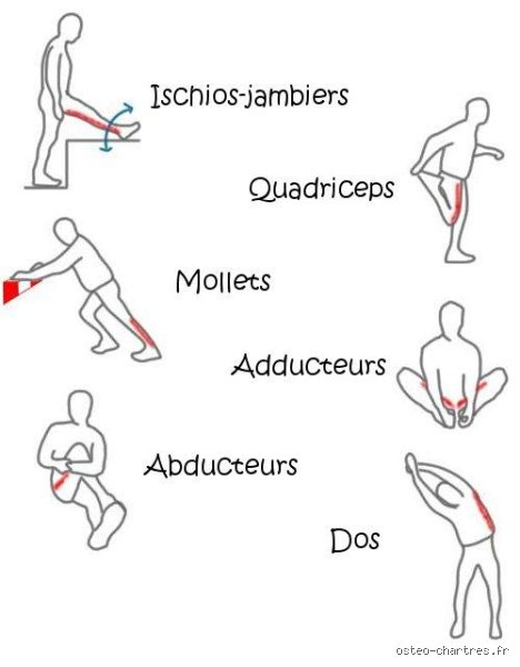 Quels sont les 4 types d'étirement ? Guide complet pour optimiser votre souplesse et votre récupération physique