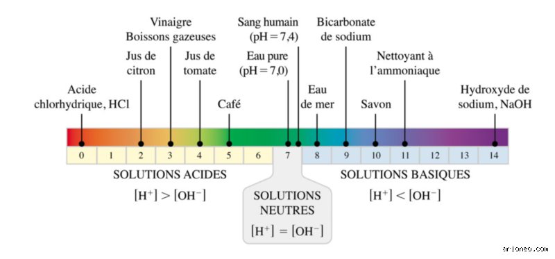 Quels sont les 4 types de déséquilibre acido-basique ? Comprendre enfin les mécanismes de l'homéostasie sanguine