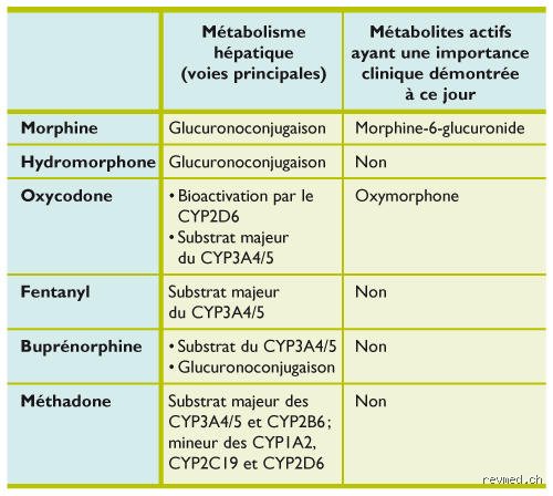 Quels sont les 5 principaux opioïdes ? Comprendre la réalité médicale et les dérives d’une crise sans précédent