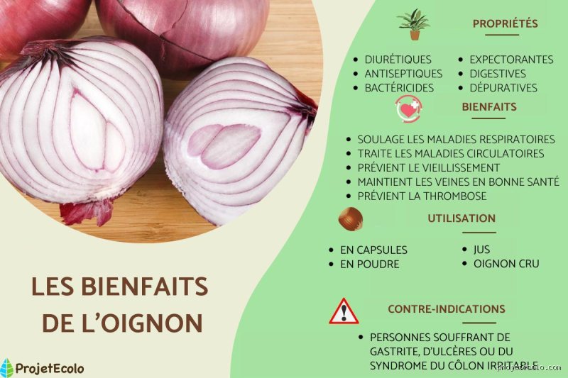 Quels sont les cinq principaux bienfaits de l'oignon pour la santé : entre remède ancestral et vérité scientifique méconnue