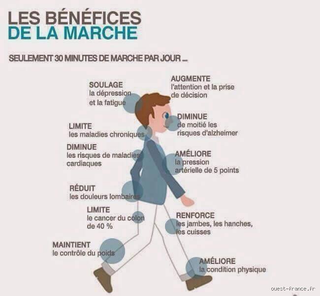 Quels sont les effets d'une marche de 13 kilomètres sur votre corps : une transformation invisible mais radicale en moins de trois heures