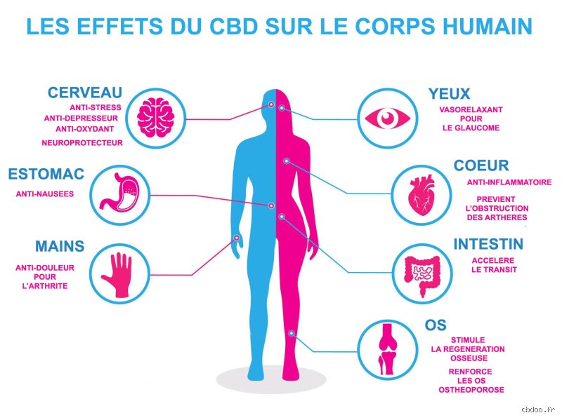 Quels sont les effets du CBD sur la santé ?