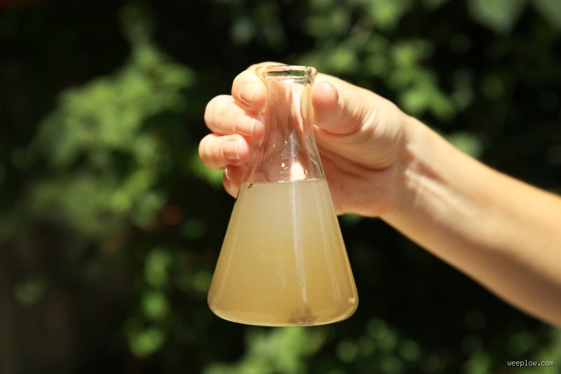 Quels sont les effets secondaires possibles d'une eau contaminée ?
