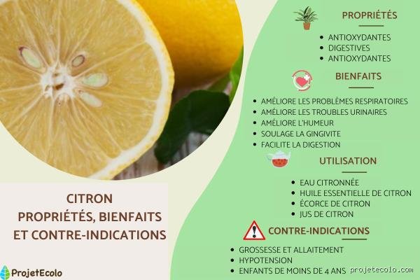 Quels sont les inconvénients majeurs de l'utilisation du citron : la face cachée d'un agrume trop souvent sacralisé