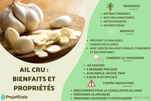 Quels sont les maladies que l'ail peut soigner et comment agit-il réellement sur notre organisme au quotidien ?