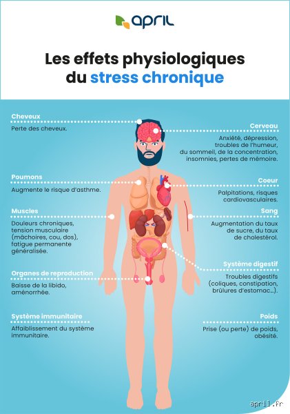 Quels sont les organes les plus touchés par le stress et comment notre corps encaisse-t-il vraiment le choc ?