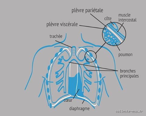 Quels sont les premiers symptômes de l'amiante : tout ce qu'il faut savoir sur les signes avant-coureurs souvent invisibles